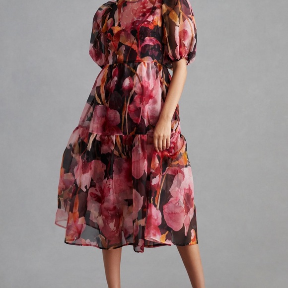 Anthropology Floral Chiffon Midi Dress - Picture 1 of 6